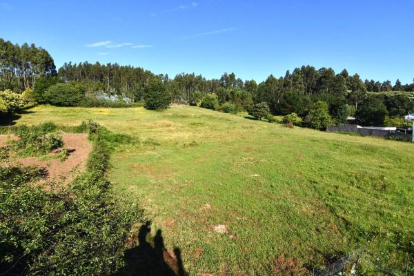 Terreno en Lugar Piñeiro, 24