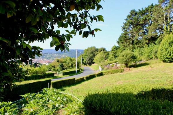 Terreno en Lugar de Lamelas s/n