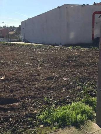 Terreno en camino Pelegrino