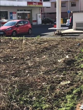 Terreno en camino Pelegrino