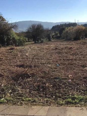 Terreno en camino Pelegrino