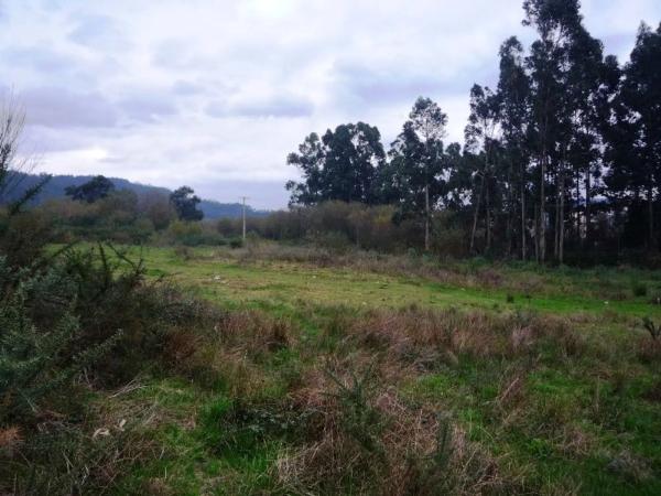 Terreno en calle das Ceramicas