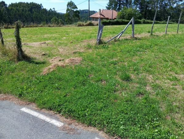 Terreno en Lugar Perillon, 4 ParcelaPolgono