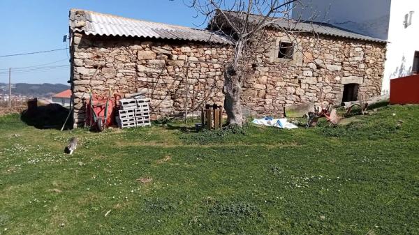 Terreno en Calle Olotedo s/n