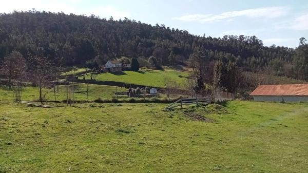 Terreno en Calle Olotedo s/n