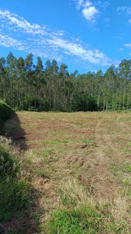 Terreno en Lugar Cimadevila, 9