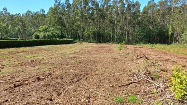 Terreno en Lugar Cimadevila, 9