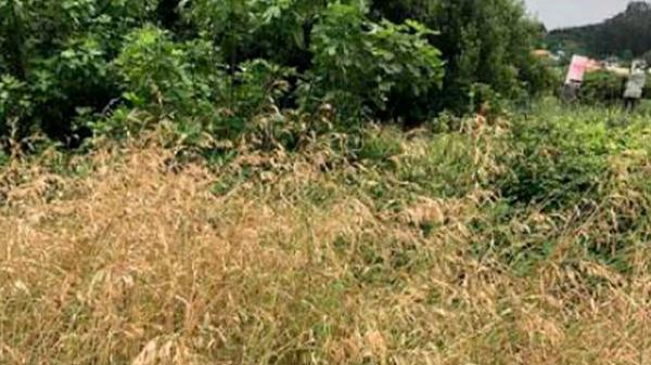 Terreno en calle Hórreo, 1