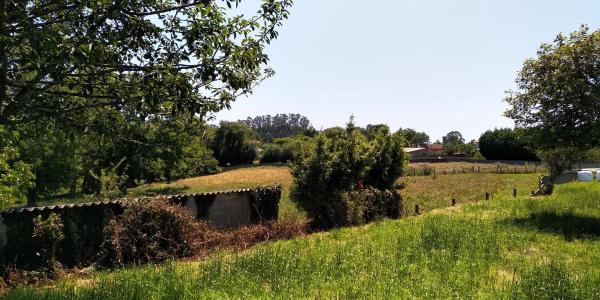 Terreno en Bicas, 37