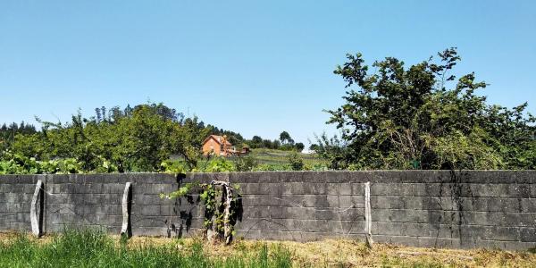 Terreno en Bicas, 37