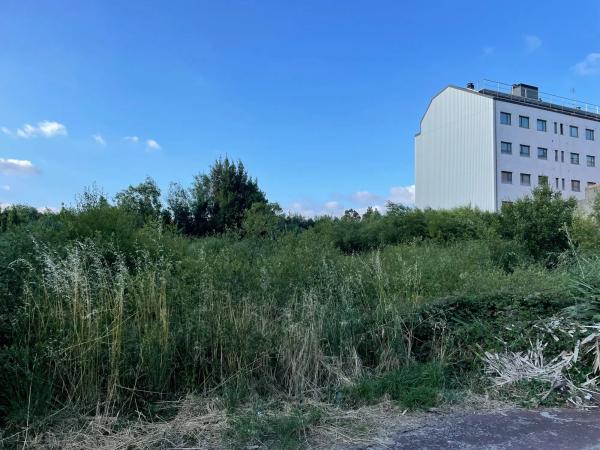 Terreno en camino de Castela