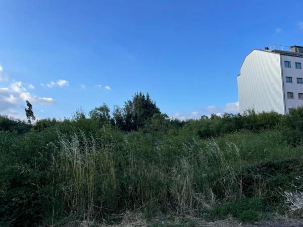 Terreno en camino de Castela