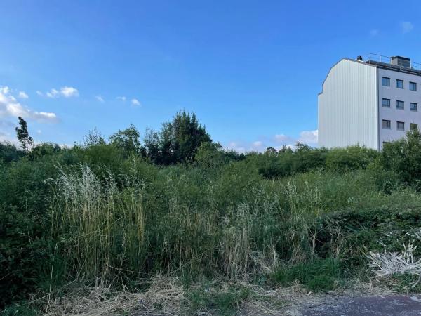 Terreno en camino de Castela