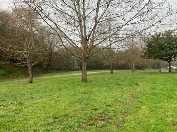 Terreno en carretera de Castilla, 376