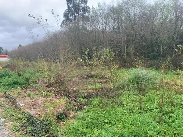 Terreno en Lg o Baño s/n