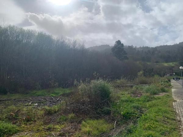 Terreno en Lg o Baño s/n