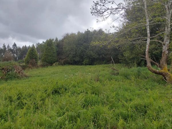 Terreno en Lugar Torre, 4