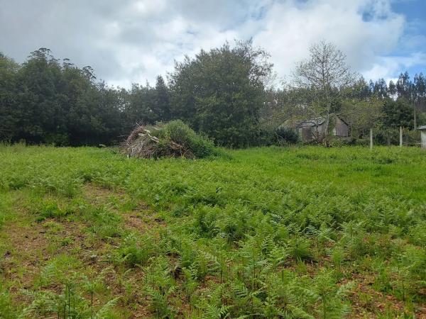 Terreno en Lugar Torre, 4