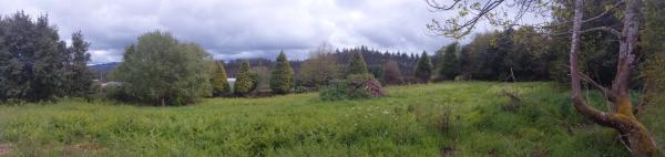 Terreno en Lugar Torre, 4