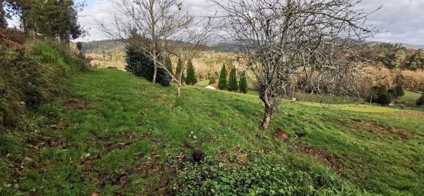 Terreno en Lugar Tortos, 9