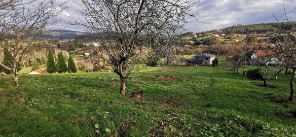 Terreno en Lugar Tortos, 9