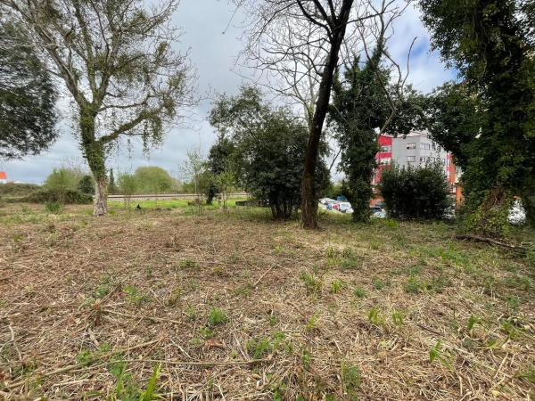 Terreno en camino de Castela