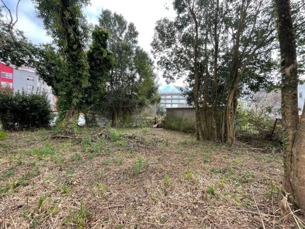 Terreno en camino de Castela