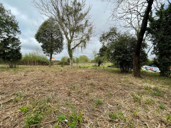 Terreno en camino de Castela