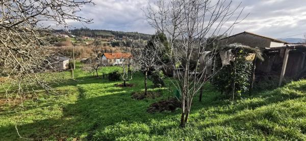 Terreno en Lugar Tortos, 9