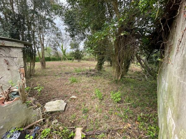 Terreno en camino de Castela