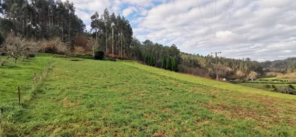 Terreno en Lugar Tortos, 9