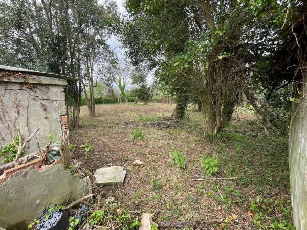 Terreno en camino de Castela