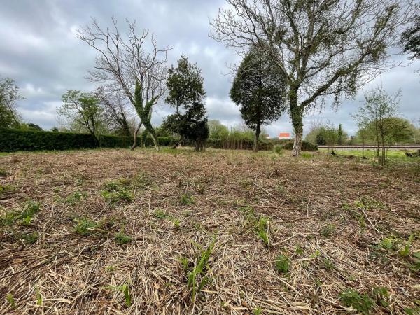 Terreno en camino de Castela