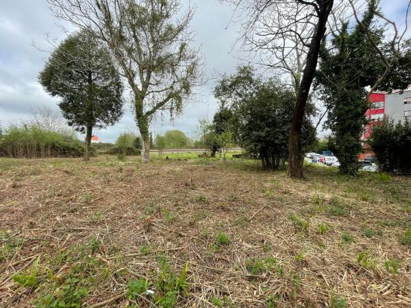 Terreno en camino de Castela