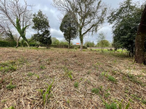 Terreno en camino de Castela