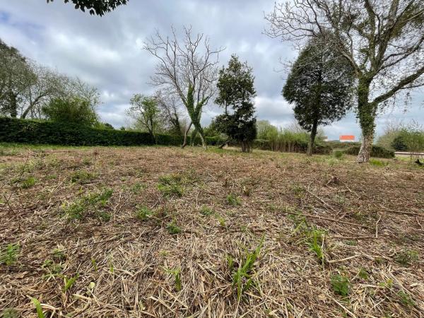 Terreno en camino de Castela