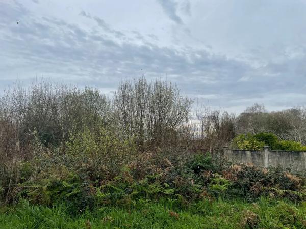 Terreno en camino Redes, 2