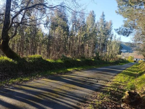 Terreno en Aldea Pazos s/n