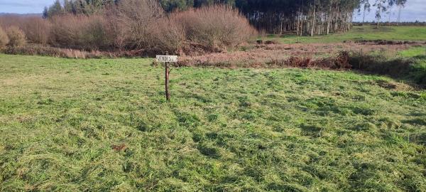 Terreno en Lugar Canteiros, 1