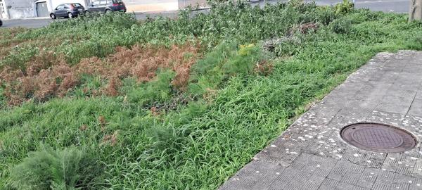 Terreno en calle Cardenal Quiroga, 2