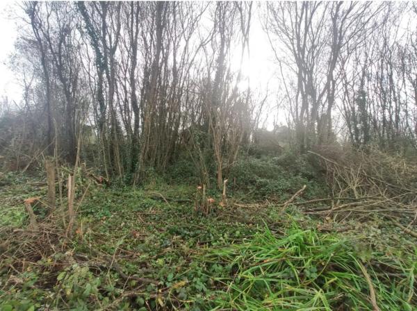 Terreno en Aldea Raso