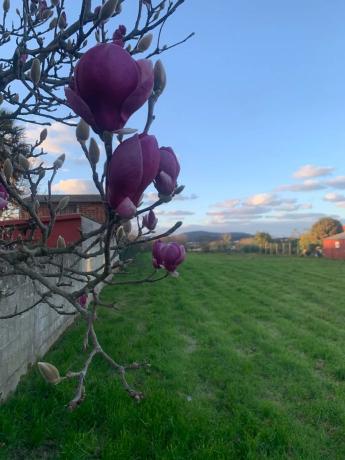 Terreno en Santa Margarida Val, 13