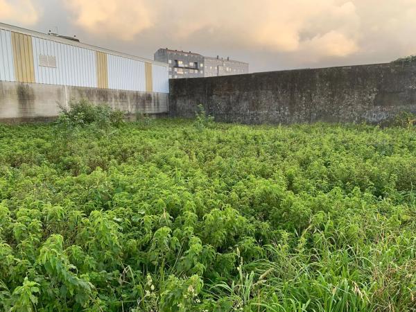 Terreno en calle Millarengo