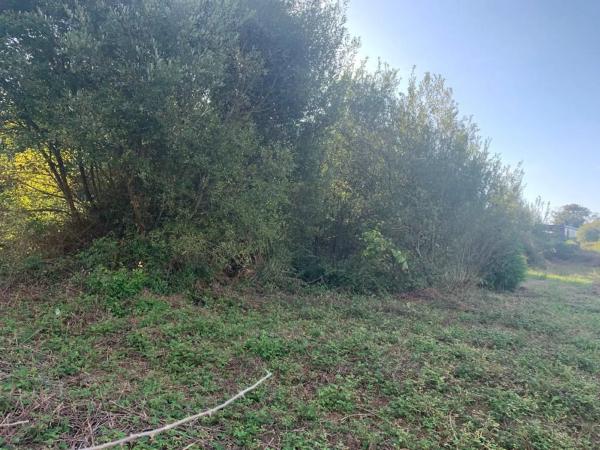 Terreno en Manuel Masdias Sánchez