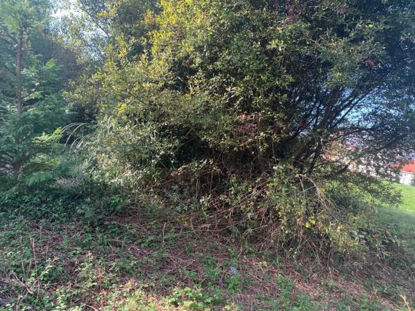 Terreno en Manuel Masdias Sánchez