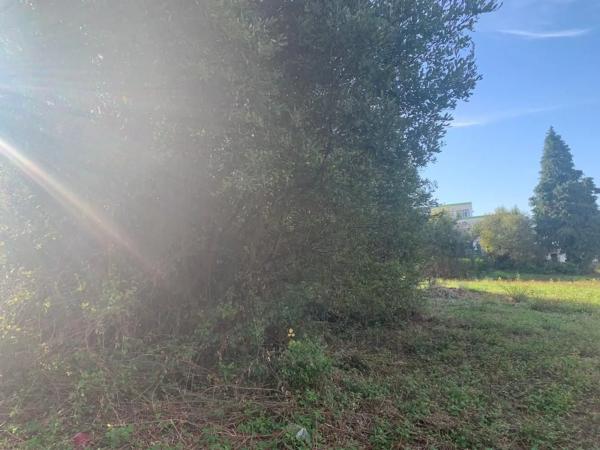 Terreno en Manuel Masdias Sánchez