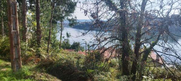 Terreno en Aldea a Redonda, 24