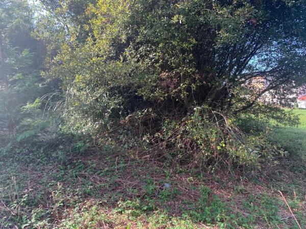 Terreno en Manuel Masdias Sánchez