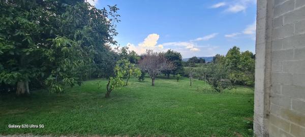 Terreno en camino do Vilar, 17