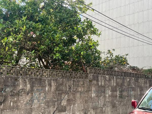 Terreno en calle Río Porto, 35